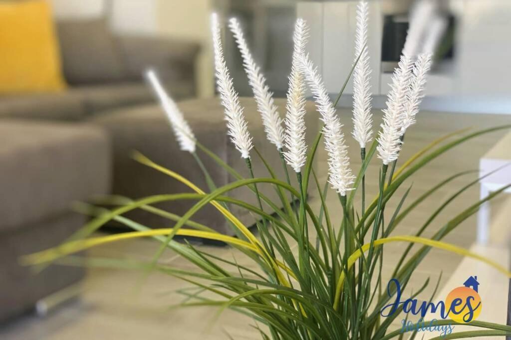 Green Hills Luxury Apartment With Comm Pool Alicante Exterior foto